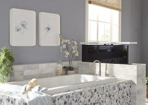 Touchstone TV lift in bathroom