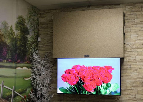 Whisper Lift II TV Lift Mechanism Water tight and out of sight: Outdoor TV lift cabinet Photo Courtesy of Customer Global Outdoor Concepts Touchstone Whisper Lift II TV Lift Mechanism