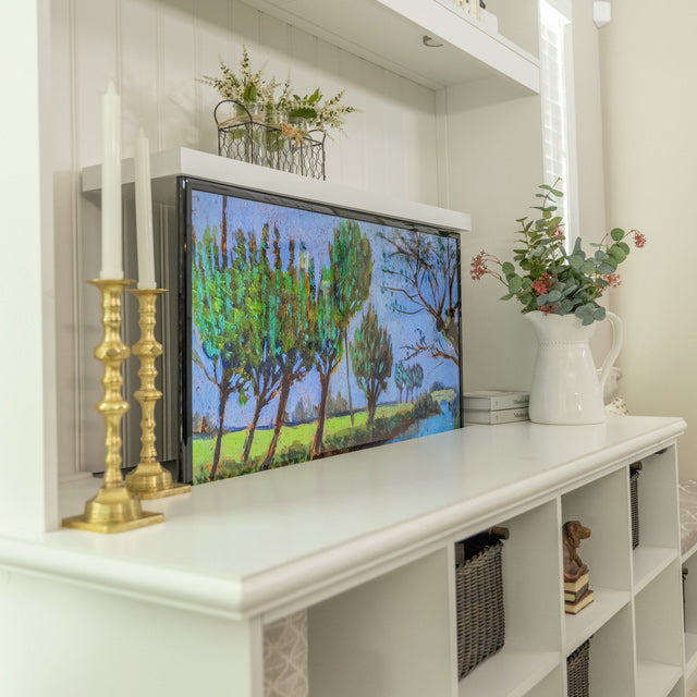 Touchstone TV lift mechanism lifts out of a custom accent wall to reveal the TV.