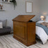 Touchstone Elevate 72009 TV Lift raises the hidden TV into view in the bedroom.