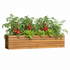 Touchstone Teak Long Teak Planter 90025 front facing shot with plants on white.