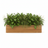 Touchstone Teak Long Teak Planter 90025 front facing shot with plants on white.
