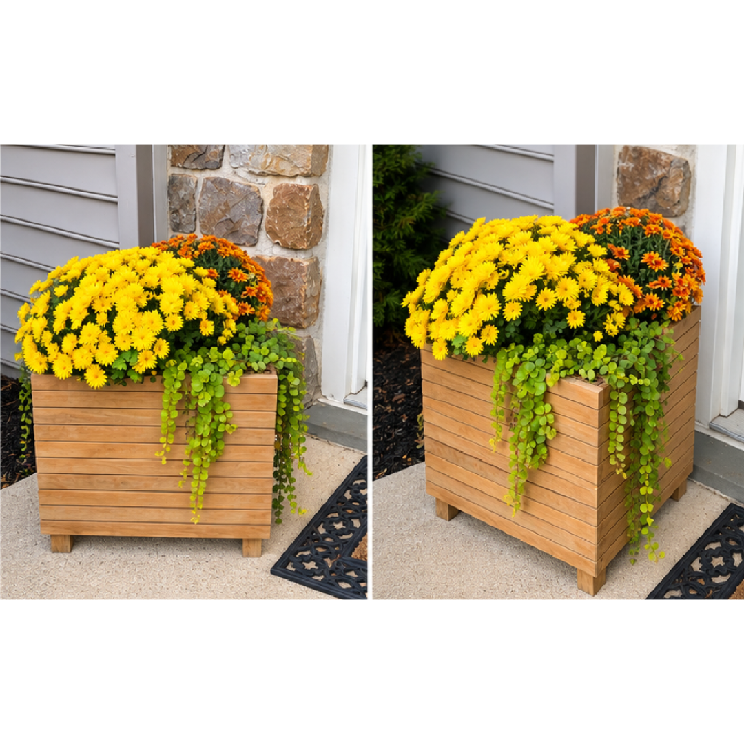 Touchstone Teak Planter - Cube shape outdoor lifestyle photo with a fall theme.